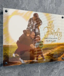 Acrylic Wall Art Modern Home Decor